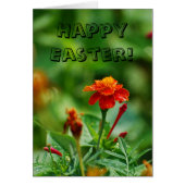 Happy Easter! (Front)