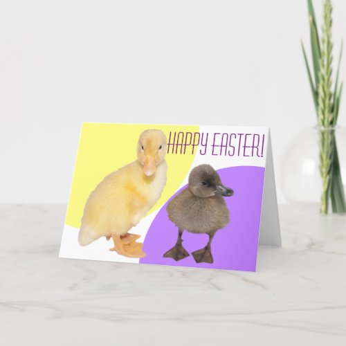 Happy Easter Adorable Fuzzy Ducklings Photography Holiday Card