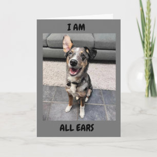 **HAPPY EASTER** ALL "EARS" TO "HEAR" YOU HAVE ONE HOLIDAY CARD