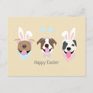 Happy Easter American Pit Bull Terrier Dogs Postcard