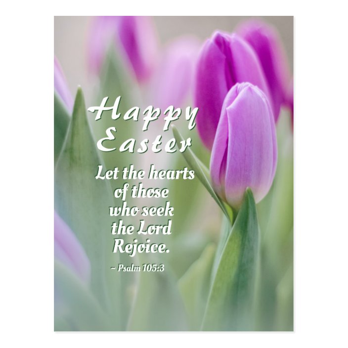 Happy Easter Bible Verse Pink Tulips Postcard