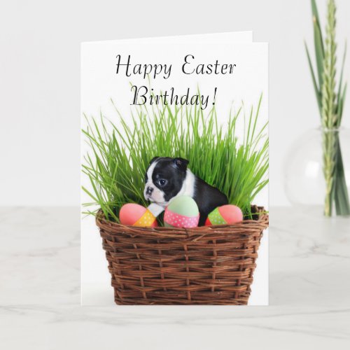 Happy Easter Birthday Boston Terrier Dog Card