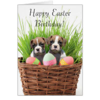 Happy Easter Birthday boxer pups card