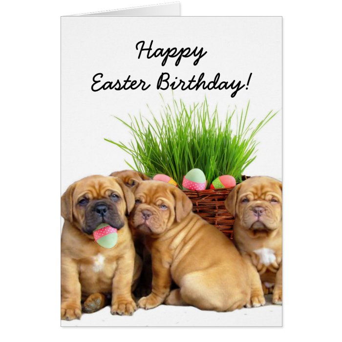 Happy Easter Birthday Dogue de Bordeaux pups card