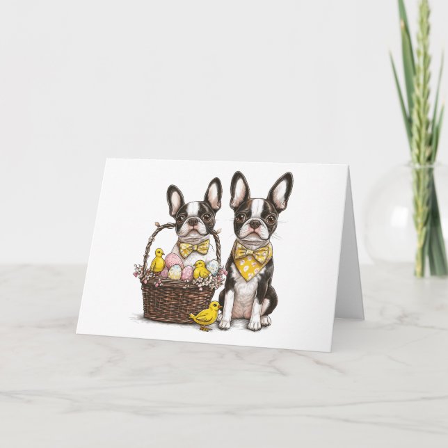 Happy Easter Boston Terrier Dogs Holiday Card (Front)