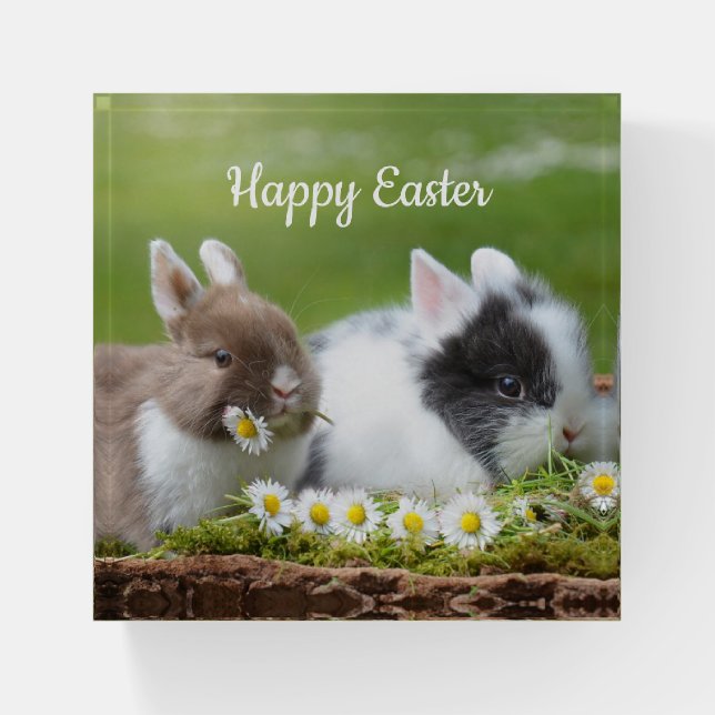 Happy Easter Bunnies Paperweight (Front)