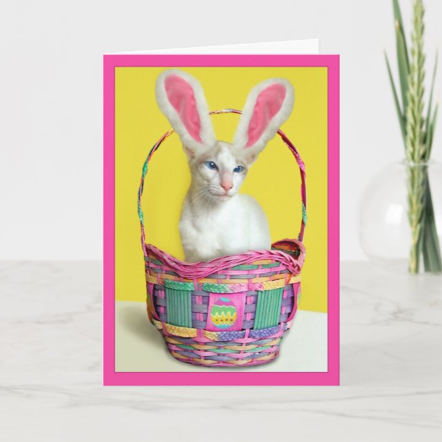 Happy Easter Bunny Cat Holiday Card (Front)