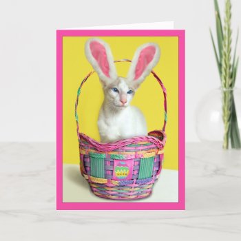 Happy Easter Bunny Cat Holiday Card by knichols1109 at Zazzle