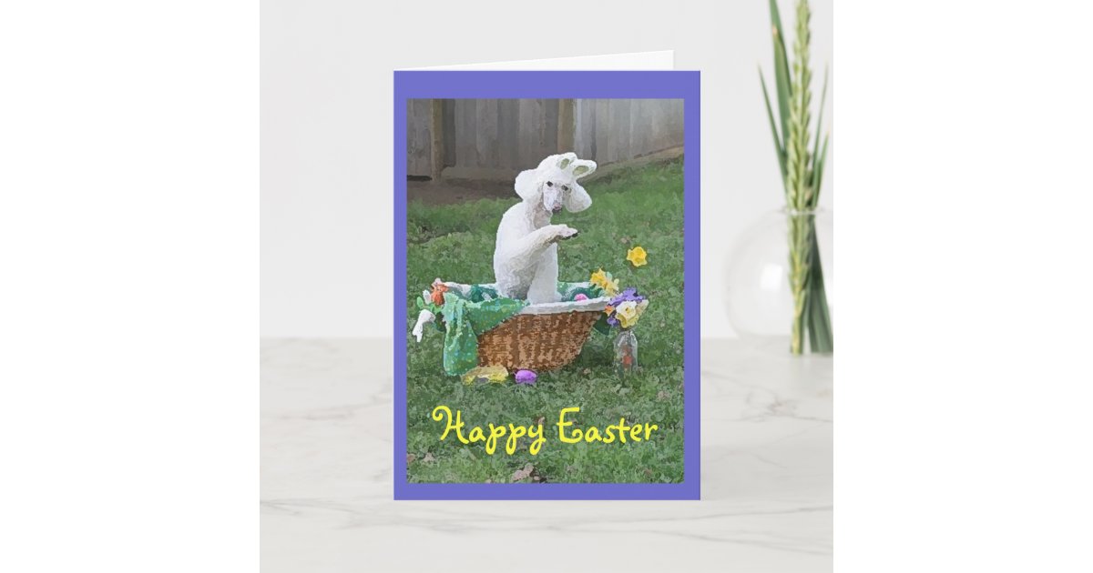 Happy Easter card from Winnie the Poodle | Zazzle