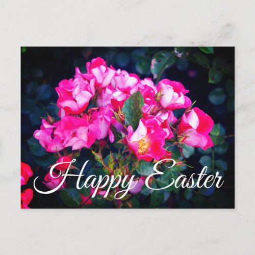 Happy Easter Carefree Spirit Rose 1 Postcard