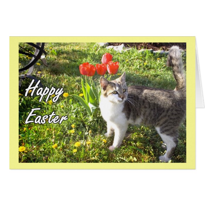 Happy Easter cat greeting card