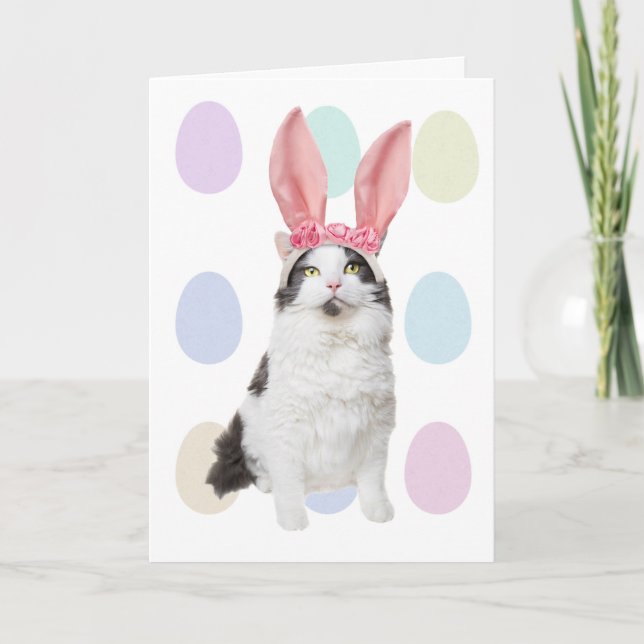 Happy Easter Cat in Bunny Ears Humor Holiday Card (Front)