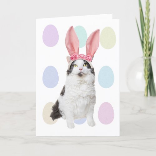 Happy Easter Cat in Bunny Ears Humor Holiday Card