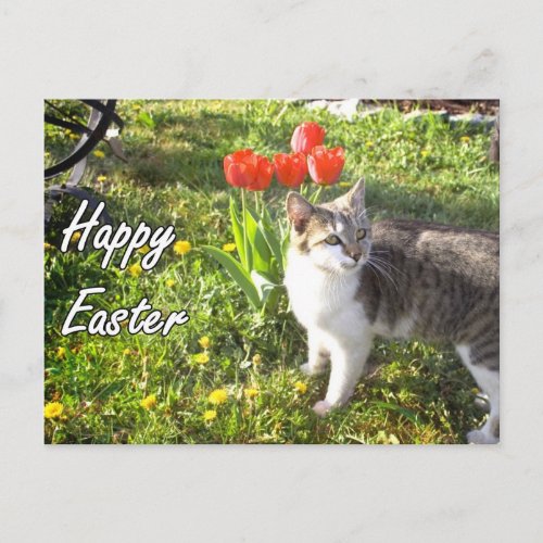 Happy Easter cat postcard