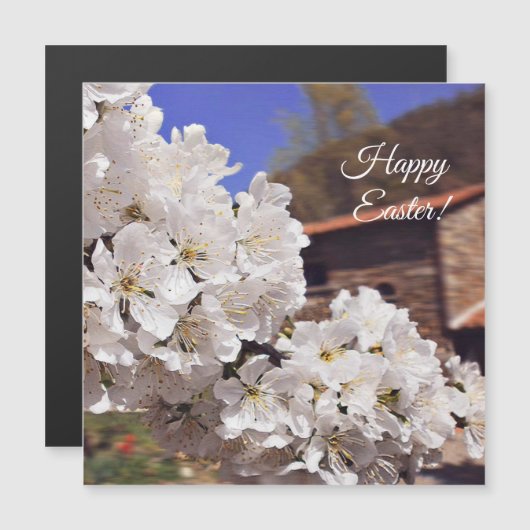 Happy Easter.Cherry Blossom. (Front/Back)