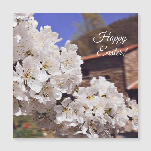 Happy Easter.Cherry Blossom. (Front)