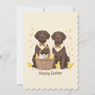 Happy Easter Chocolate Labrador Retriever Dogs Holiday Card