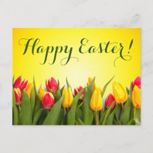 Happy Easter Colorful Spring Tulips Script Postcard