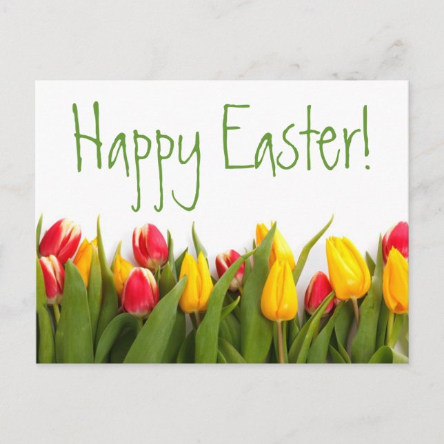 Happy Easter Colorful Spring Tulips White Back Holiday Postcard (Front)