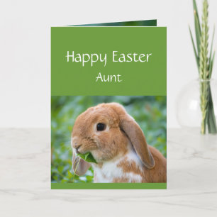 Happy Easter Cute Bunny Special Aunt Holiday Card