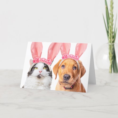 Happy Easter Cute Cat and Puppy in Bunny Ears  Holiday Card