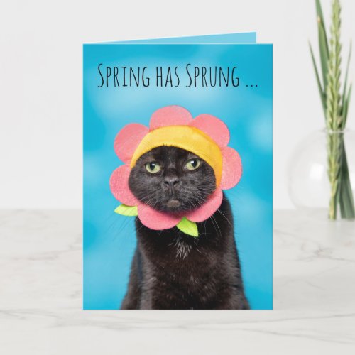 Happy Easter Cute Cat in Flower Hat Humor Holiday Card