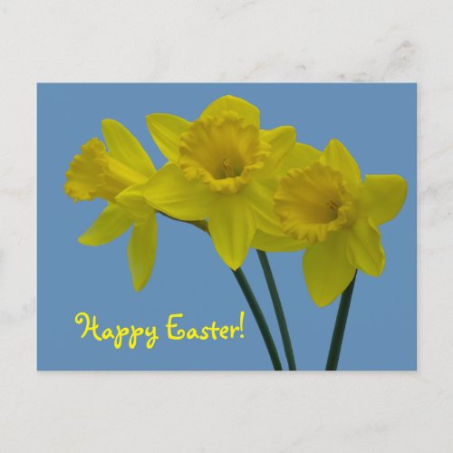 Happy Easter Daffodil Postcard