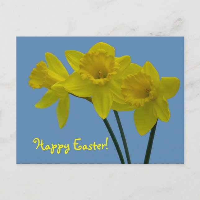 "Happy Easter" Daffodil Postcard (Front)