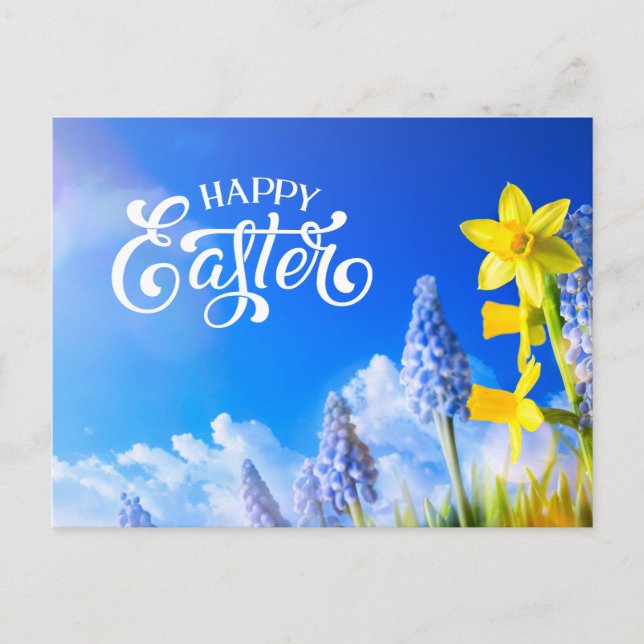 Happy Easter Daffodils, Spring Flower Blue Floral  Postcard (Front)