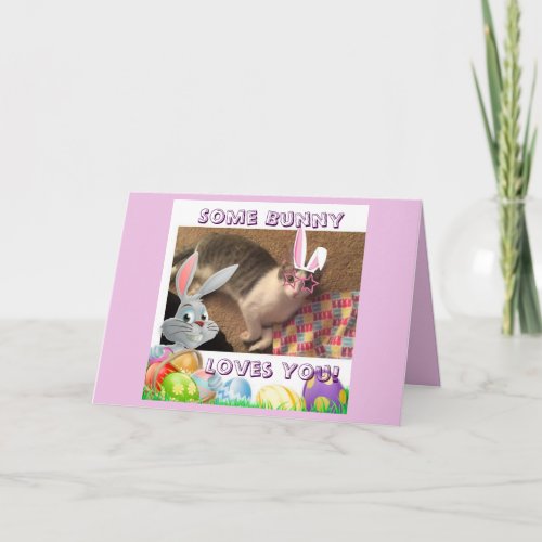Happy Easter for a cat lover Holiday Card