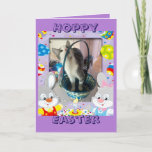 Happy Easter For A Cat Lover Holiday Card at Zazzle