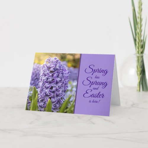 Happy Easter For Anyone Beautiful Purple Hyacinth Holiday Card