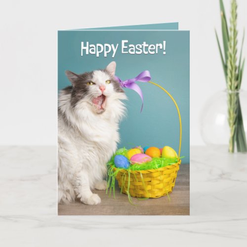 Happy Easter For Anyone Cat Licking Face  Holiday Card