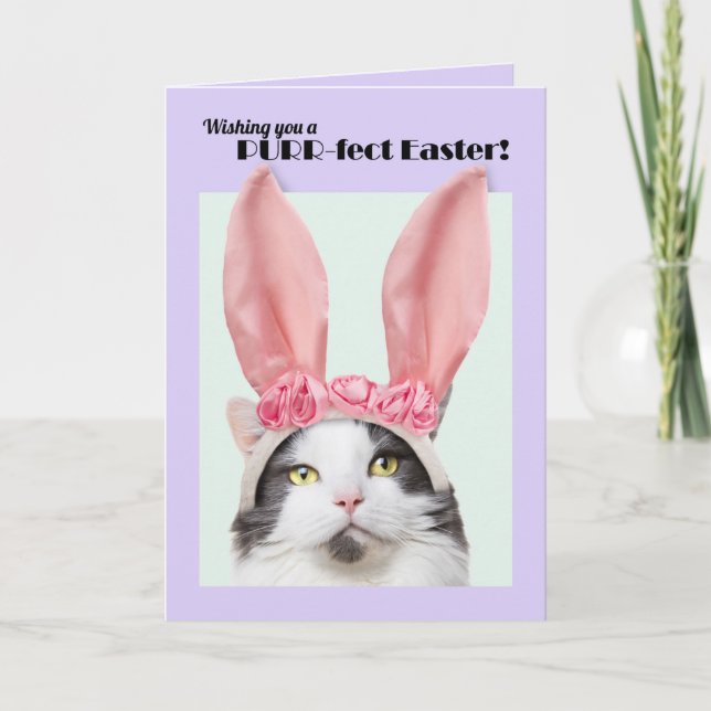 Happy Easter For Anyone Cute Cat in Bunny Ears Holiday Card (Front)