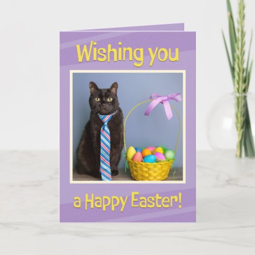 Happy Easter For Anyone Cute Cat in Tie  Holiday Card