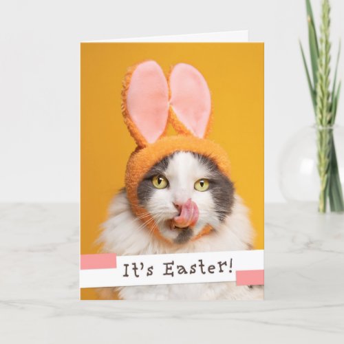 Happy Easter For Anyone Funny Cat in Bunny Ears  Holiday Card