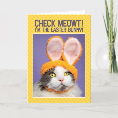 Happy Easter For Anyone Funny Cat in Bunny Ears Holiday Card