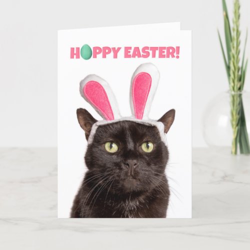 Happy Easter For Anyone Funny Cat in Bunny Ears  Holiday Card