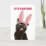 Happy Easter For Anyone Funny Cat in Bunny Ears Holiday Card