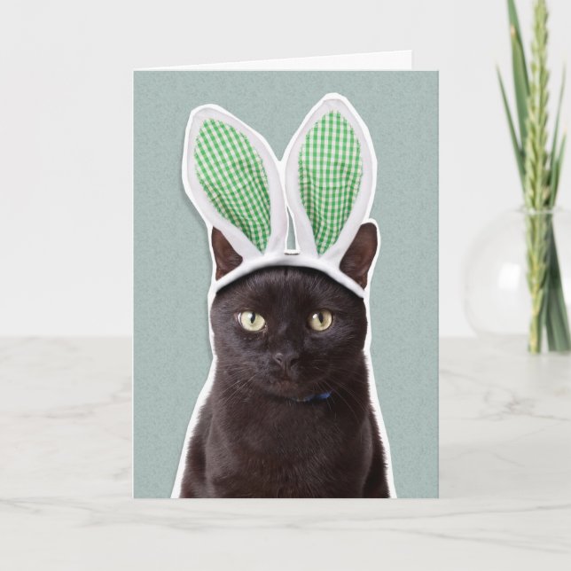 Happy Easter For Anyone Funny Cat in Bunny Ears Holiday Card (Front)