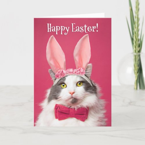Happy Easter For Anyone Funny Cat in Bunny Ears Holiday Card