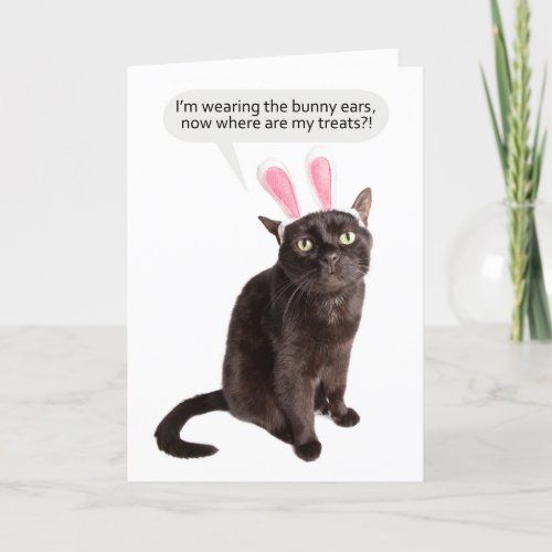 Happy Easter For Anyone Funny Cat Mad About Bunny  Holiday Card