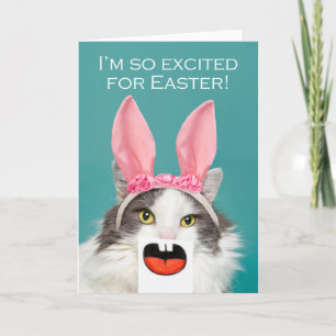 Happy Easter For Anyone Funny Cat With Open Mouth Holiday Card