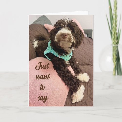 HAPPY EASTER FROM ADORABLE BERNEDOODLE HOLIDAY CARD