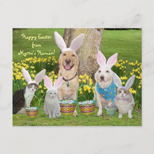 Happy Easter from Myrties Human Holiday Postcard