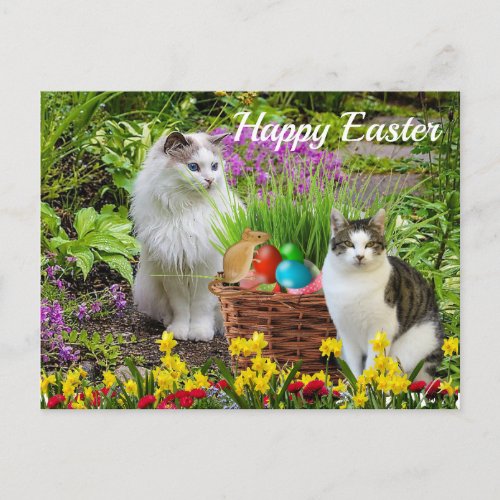 Happy Easter From Your Cat Holiday Postcard
