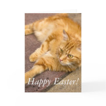 Happy Easter Ginger Cat