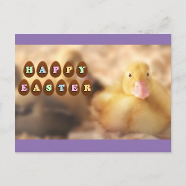 Happy Easter Greetings from Cute Duckling Holiday Postcard (Front)