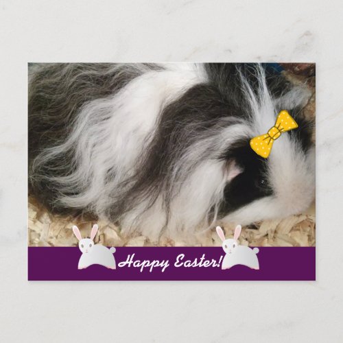 Happy Easter Guinea Pig Holiday Postcard