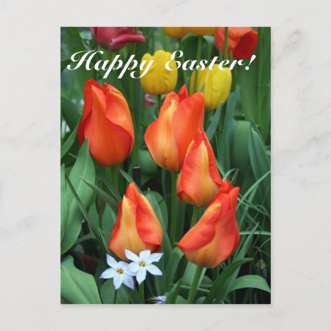 Happy Easter, He is risen! Holiday Postcard (Front)